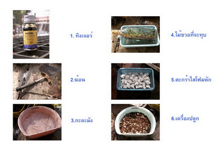 วิธีทุบขวดนำลูกไม้ออกมาสู่โลกภายนอก