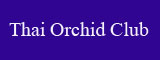 THAI ORCHID CLUB