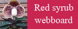 redsyrub webboard