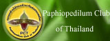 paphiopedilum club of thailand