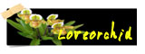 loveorchid